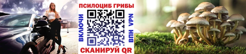Псилоцибиновые грибы MAGIC MUSHROOMS  Купить  Пыть-Ях 